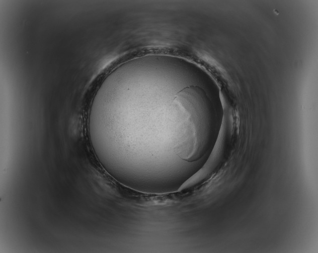 X0000086931208200704161417