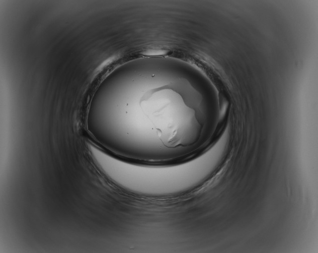 X0000086931210200704161417