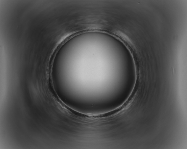 X0000086931212200704161417