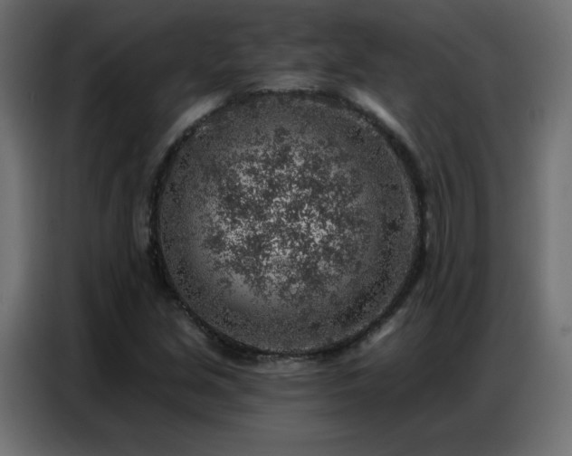 X0000086931213200704161417
