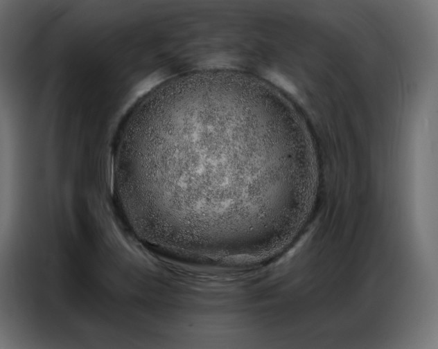 X0000086931219200704161417