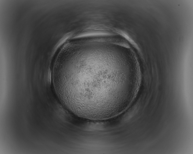 X0000086931221200704161417