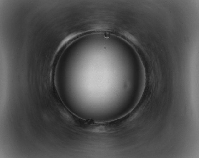 X0000086931222200704161417