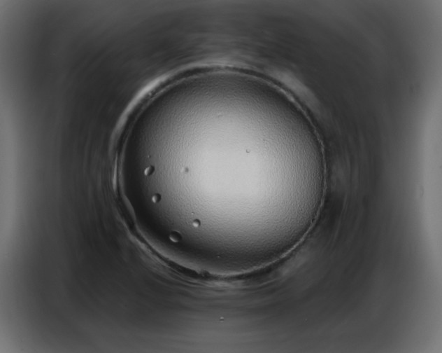 X0000086931224200704161417