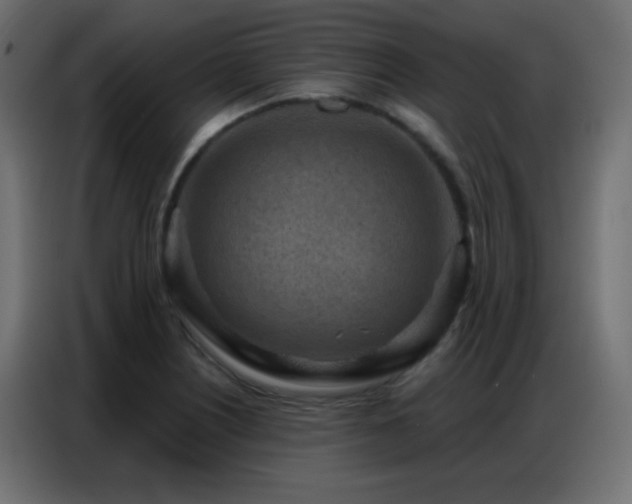 X0000086931226200704161417