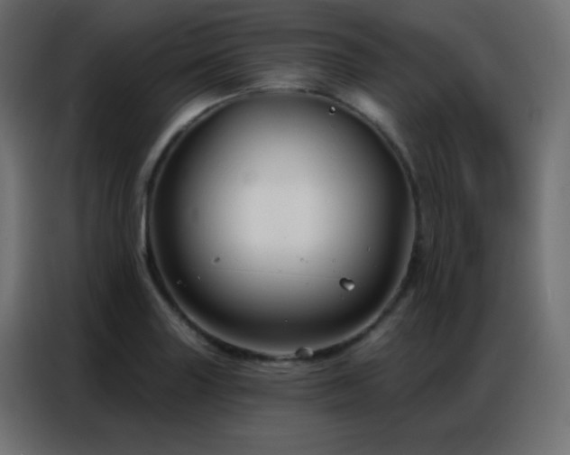 X0000086931227200704161417
