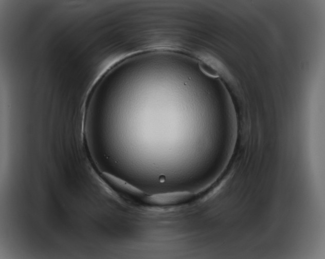 X0000086931228200704161417