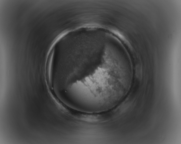 X0000086931229200704161417