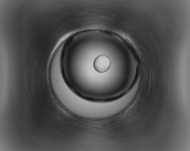 X0000086931230200704161417