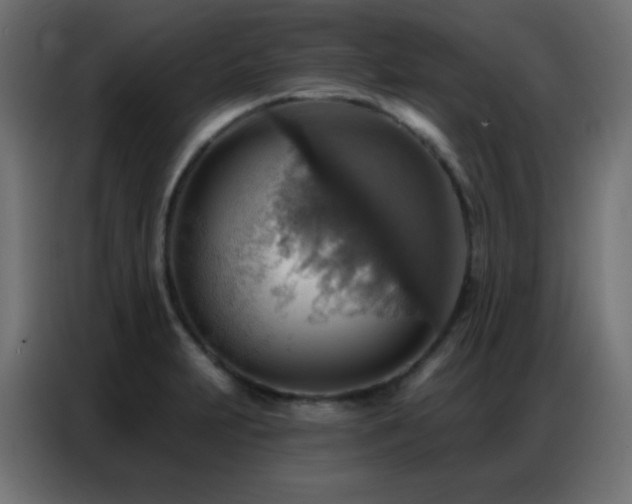 X0000086931231200704161417