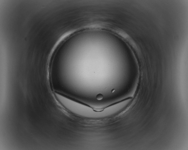 X0000086931232200704161417