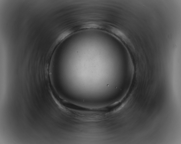 X0000086931233200704161417