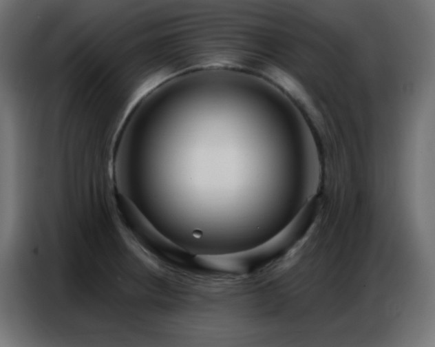 X0000086931234200704161417