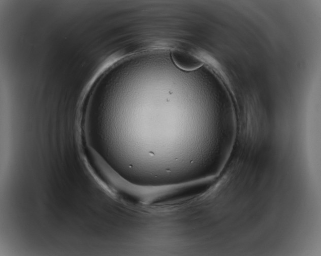 X0000086931235200704161417
