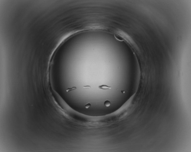 X0000086931236200704161417