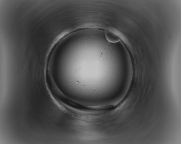 X0000086931237200704161417