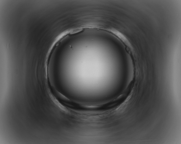 X0000086931238200704161417