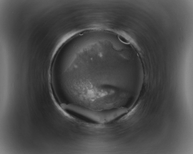 X0000086931239200704161417
