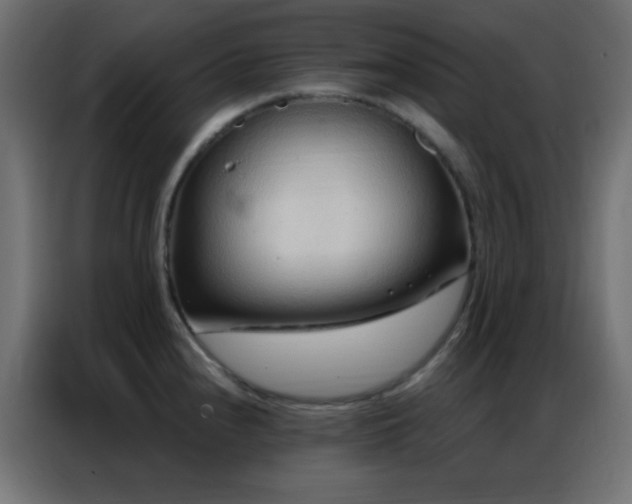 X0000086931240200704161417