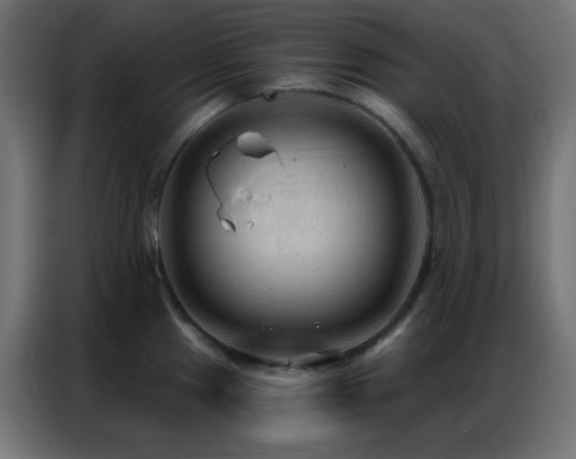 X0000086931241200704161417