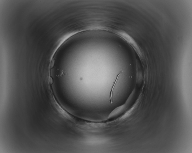 X0000086931244200704161417