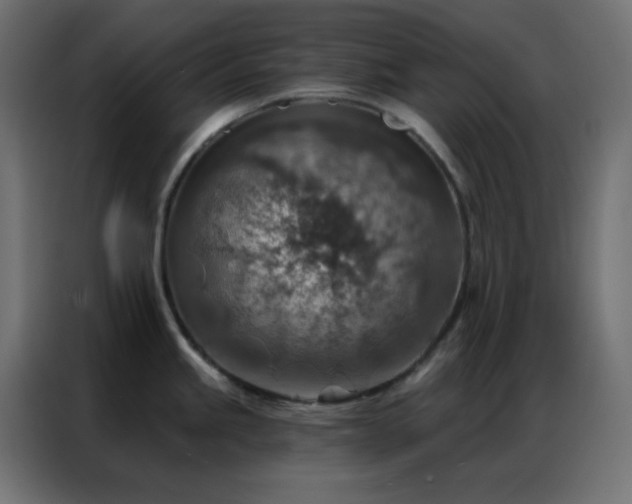 X0000086931245200704161417