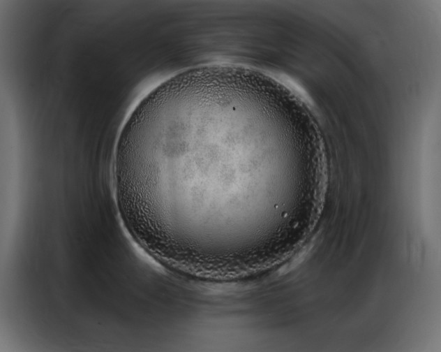 X0000086931247200704161417