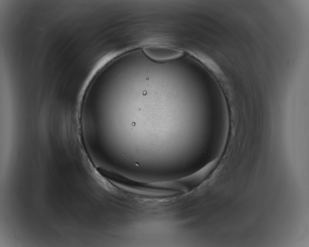 X0000086931248200704161417