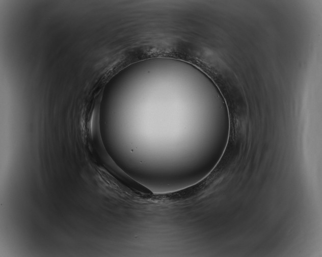 X0000086931250200704161417