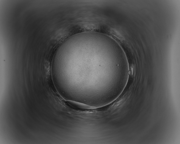 X0000086931251200704161417