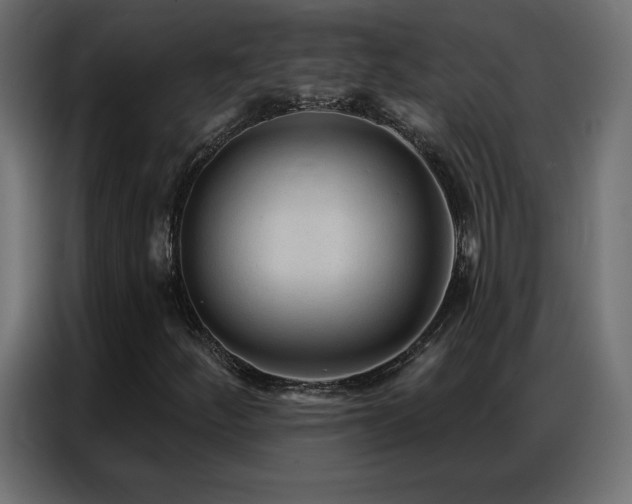 X0000086931252200704161417