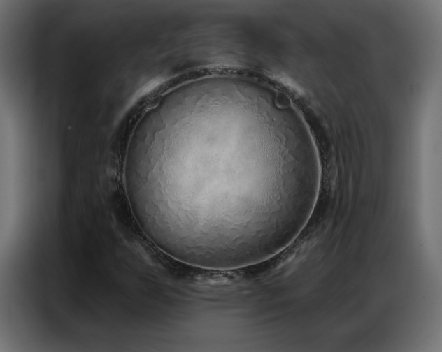 X0000086931255200704161417