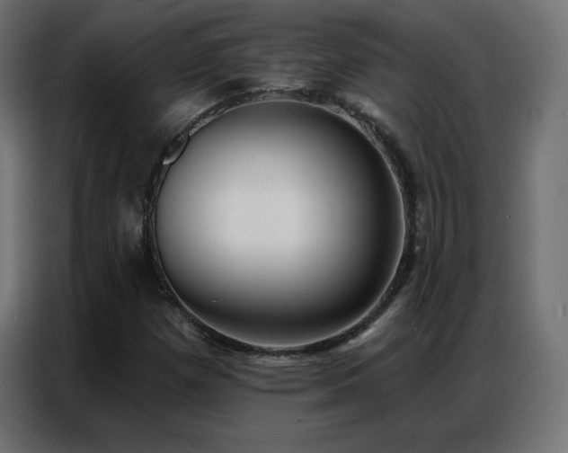 X0000086931257200704161417