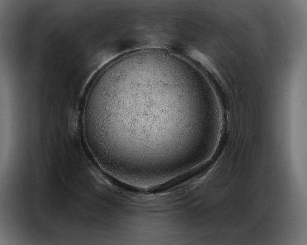 X0000086931260200704161416