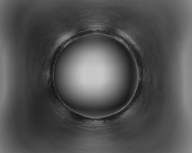X0000086931261200704161416
