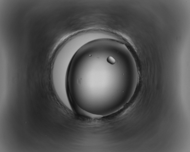X0000086931263200704161416