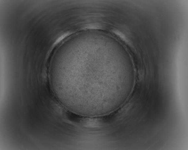 X0000086931266200704161416