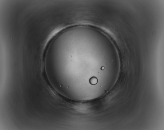 X0000086931271200704161416