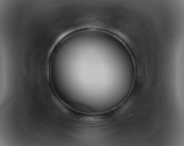 X0000086931272200704161416