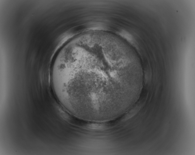 X0000086931274200704161416