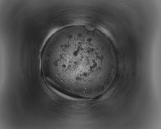X0000086931275200704161416