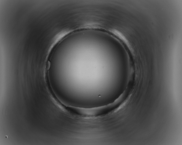 X0000086931277200704161416