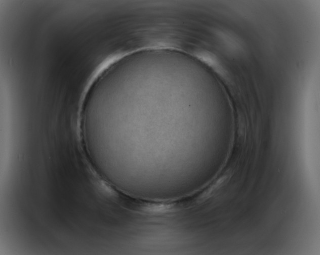X0000086931278200704161416