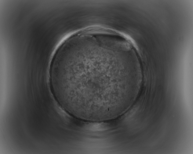X0000086931279200704161416