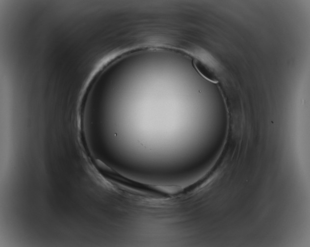 X0000086931280200704161416