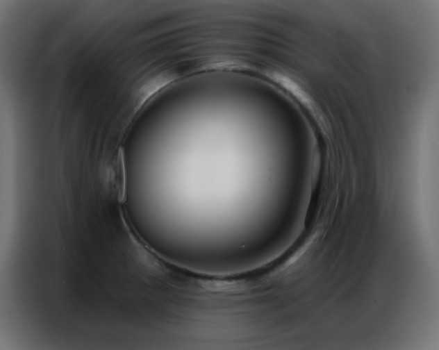 X0000086931281200704161416