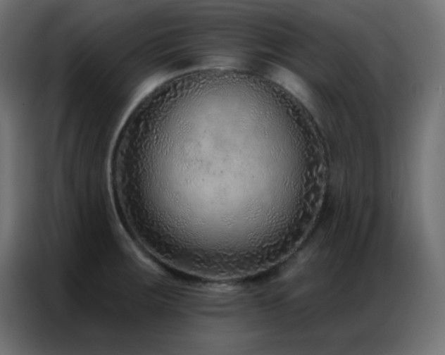 X0000086931283200704161416