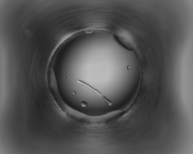 X0000086931284200704161416