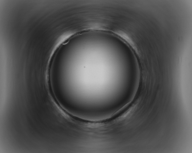 X0000086931285200704161416