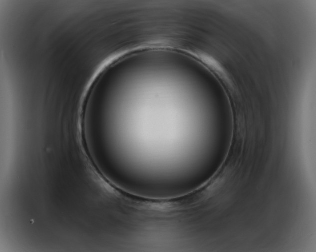 X0000086931288200704161416